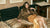 Ready to Wear Trending Now
